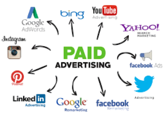 Web Development